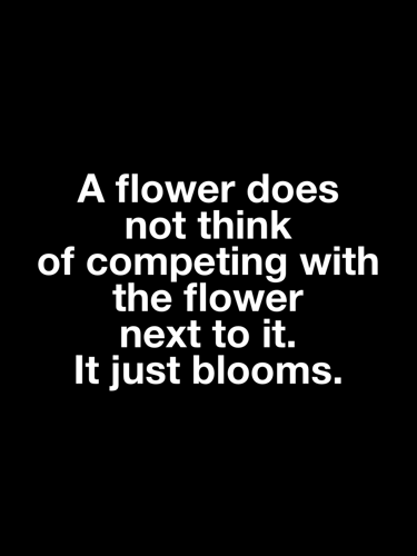 a-flower-just-blooms-the-mindshift-podcast-768x1024